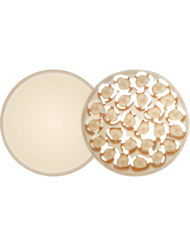 Ambarino<sup>&reg;</sup> High-Class Disc Multicolor - AMBARINO<sup>&reg;</sup> ist antagonistenschonend, sto&szlig;d&auml;mpfend und eignet sich f&uuml;r langlebige Versorgungen bei zahlreichen Indikationen. Der mehrschichtige Aufbau unterst&uuml;tzt einen nat&uuml;rlichen Farbverlauf f&uuml;r harmonische und hochwertige Versorgungen.